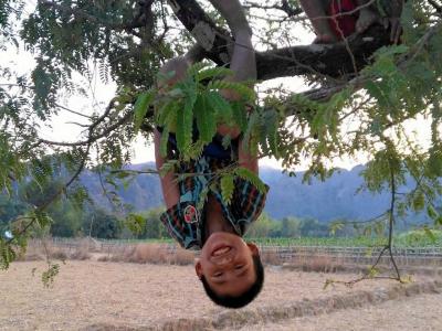 10 février : enfant jouant dans un arbre sour la route de Kong Lor Cave