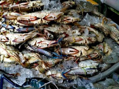 Le crabe sur le marché central