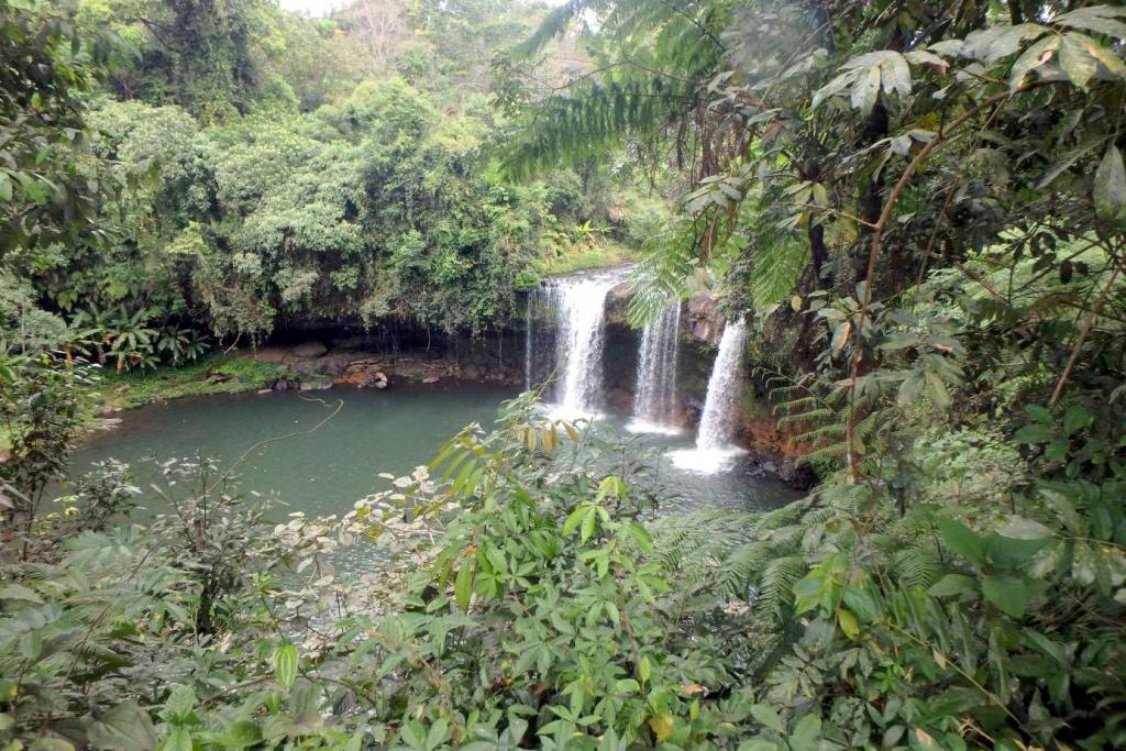 Cascade de Champee