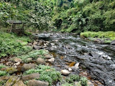 La rivière avant la cascade