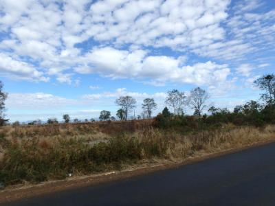 des allures de désert australien