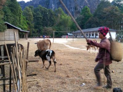 la boucle de Thakhek : petit road trip de 2 jours à scooter