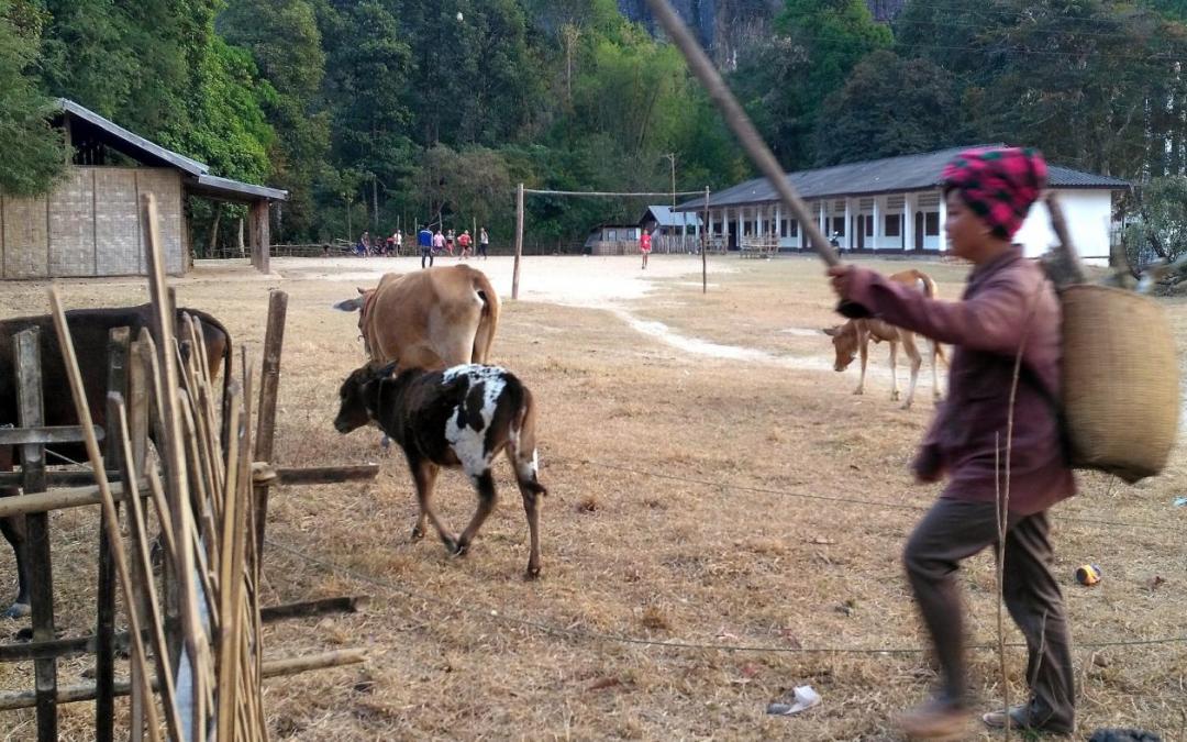 Oh le monde : carnet de voyage au laos