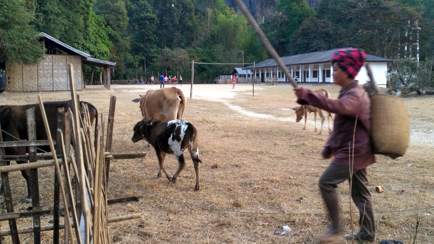 Carnet de voyage au Laos