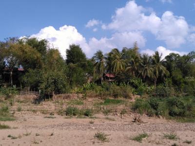 Luang Prabang : plage