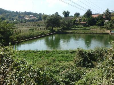 Bassin