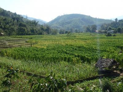 Paysage sur la route vers Oudomxay