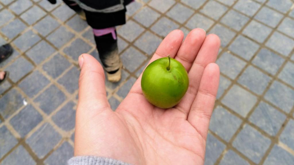 Petite pomme ronde du marché de Sapa