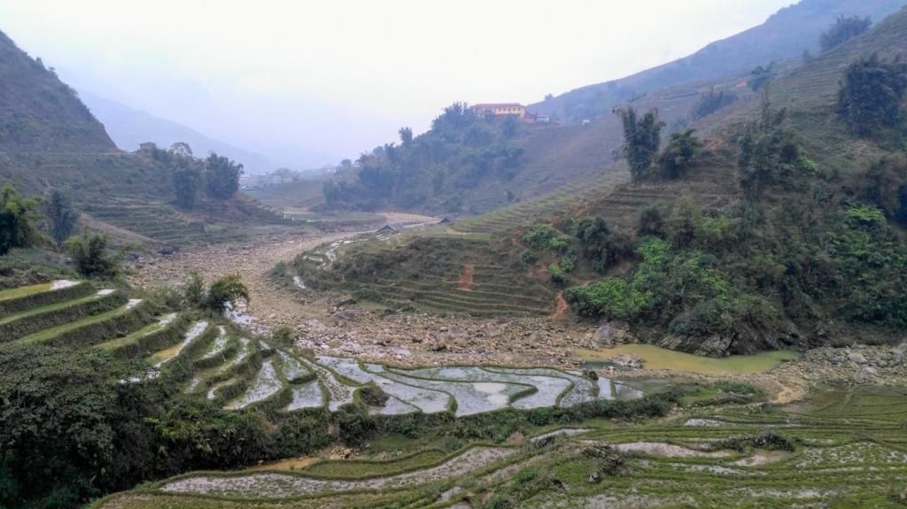 Rizière dans la région de Sapa (Vietnam)